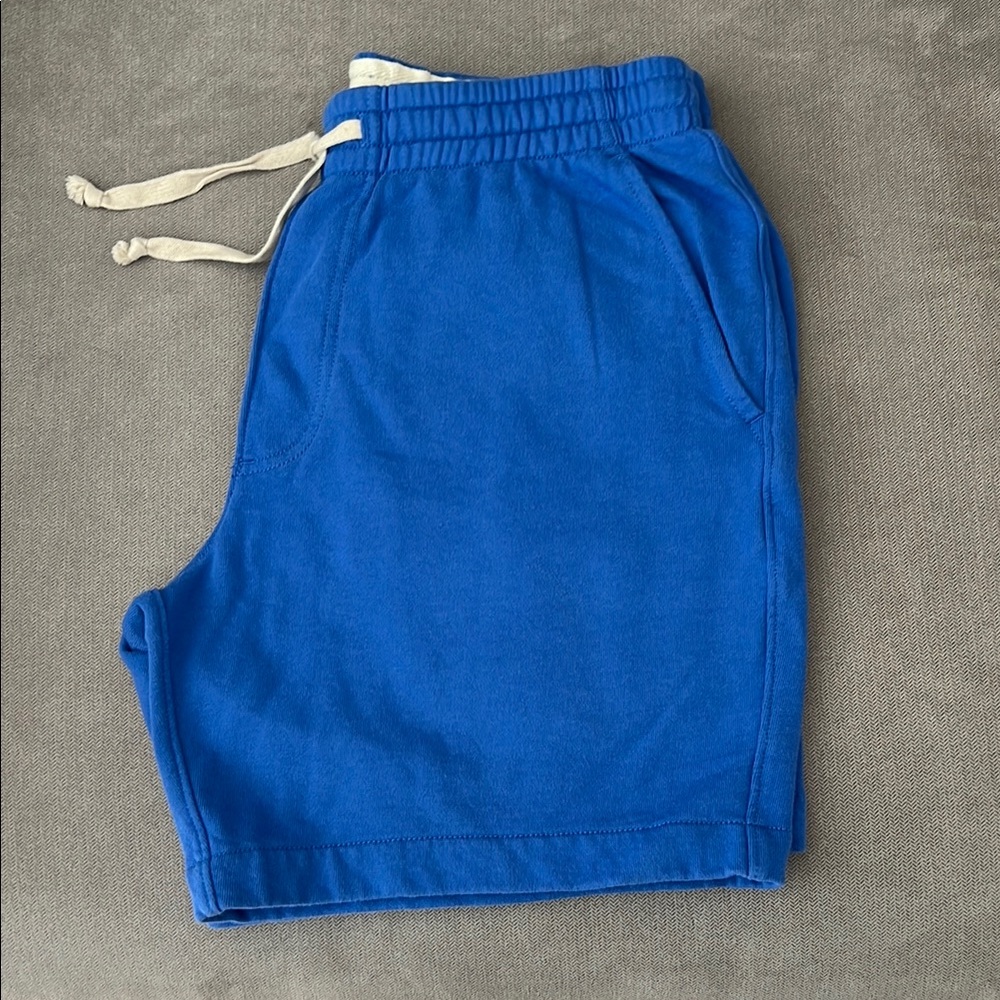 Brand NEW J. Crew Men's Blue Shorts